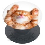 Попсокет PopSockets Basic Snoozy Cat – Многоцветен